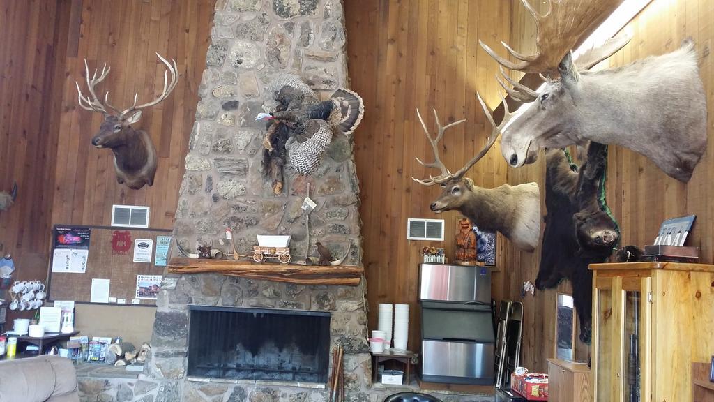 Bear Lodge Motel Sundance Extérieur photo